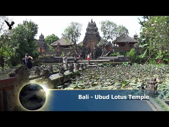 Bali - Saraswati Temple / Lotus Temple