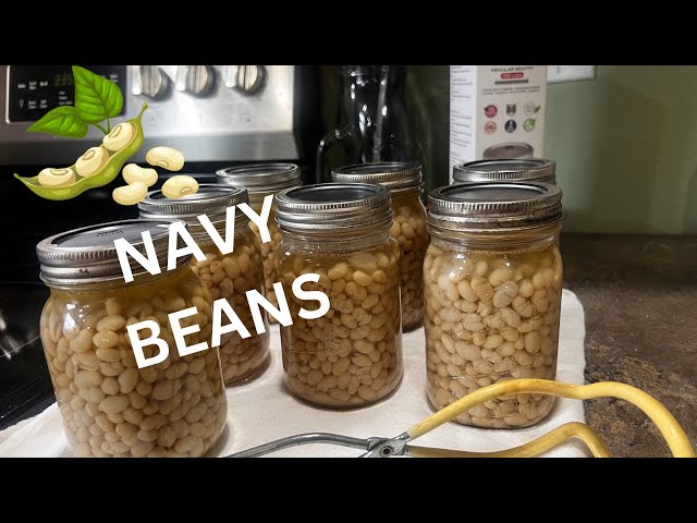 Canning Navy Beans For Food Storage