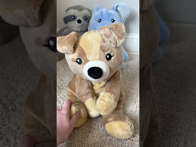 Charlie the Puppy Video Review by a Mom of Three