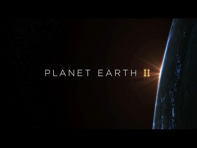 Planet Earth II Hans Zimmer Soundtrack 360° | BBC Earth