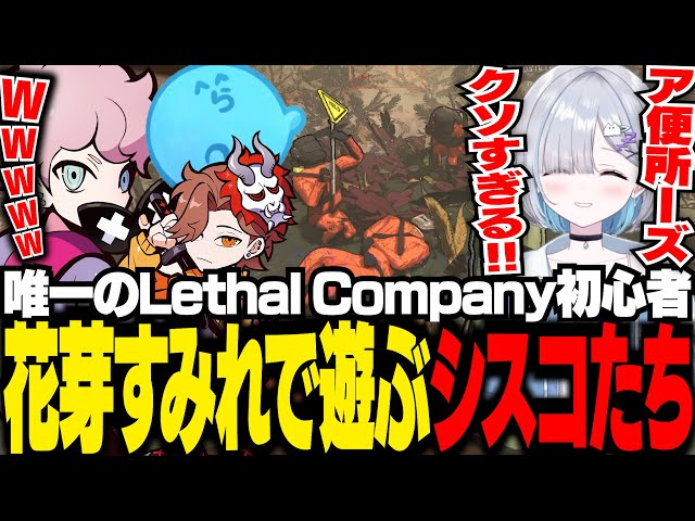 初心者の花芽すみれをオモチャにして、大爆笑するシスコたち【Lethal Company/ふらんしすこ/切り抜き】