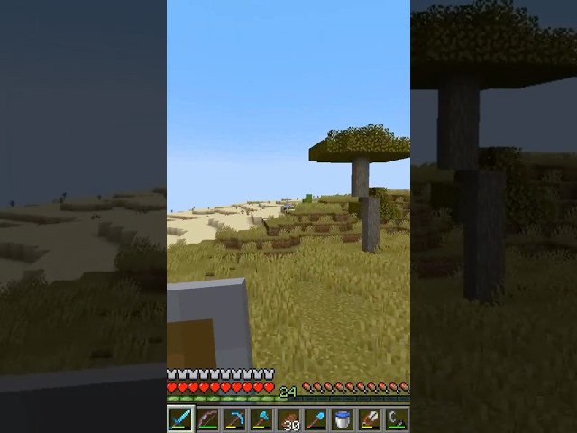 Comet Freaks Out About A Desert in #minecraft