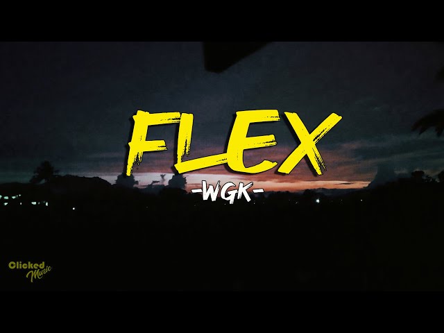 FLEX -  WGK (prod. Roko Tensei) (Lyrics)