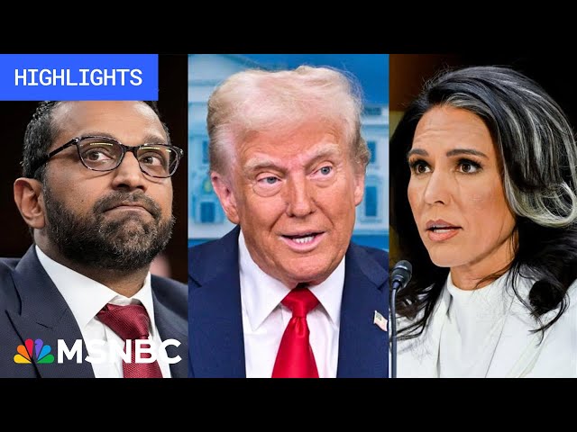 Trump blames DEI for deadly plane crash: Trump’s First 100 Days - Day 11 | MSNBC Highlights