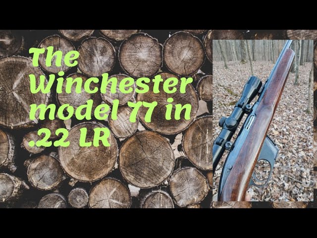 Featuring the Winchester model 77