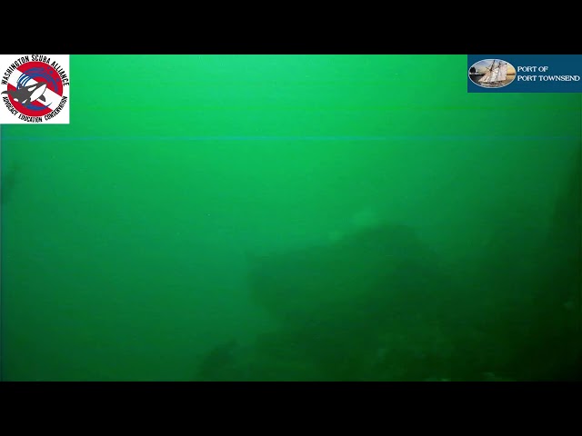 Port of Port Townsend Live Stream