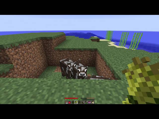 Le Problem? - Diversity #7 | Norsk Minecraft