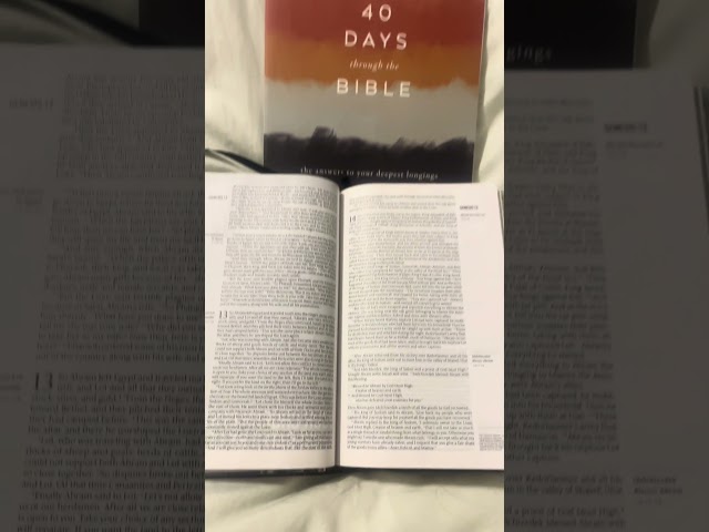 This is an amazing book🤩📖 #biblestudy #bible #christian #christianshorts #books #mennonite