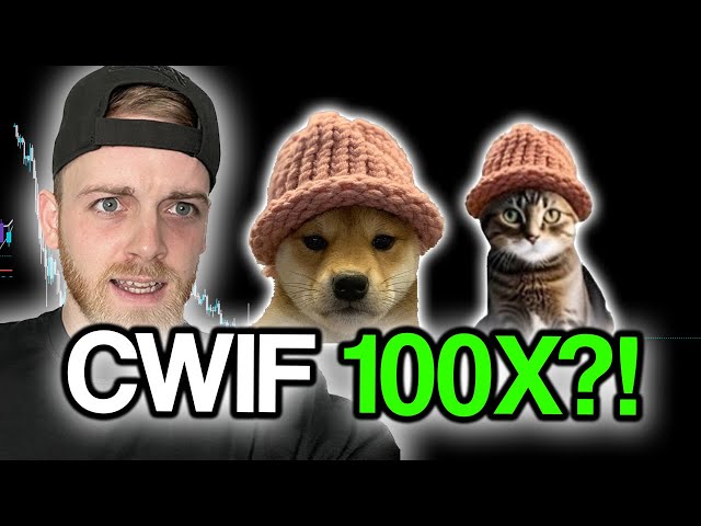 CATWIFHAT (CWIF) HAS 100X POTENTIAL! LET ME SHOW YOU WHY!!