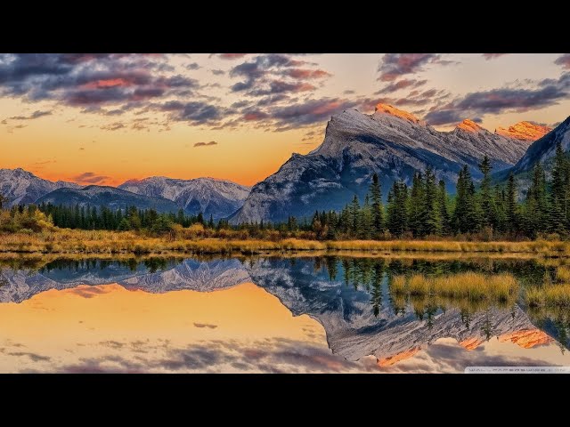 Ambient type beat music therapy relaxing music to heal stress anxiety and depression "24 July 2023"