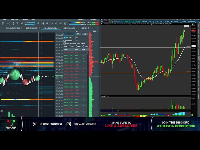 Live Day Trading