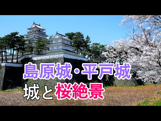 4K Castle and Cherry Blossoms - Shimabara Castle and Hirado Castle / Beautiful Scenery of Japan