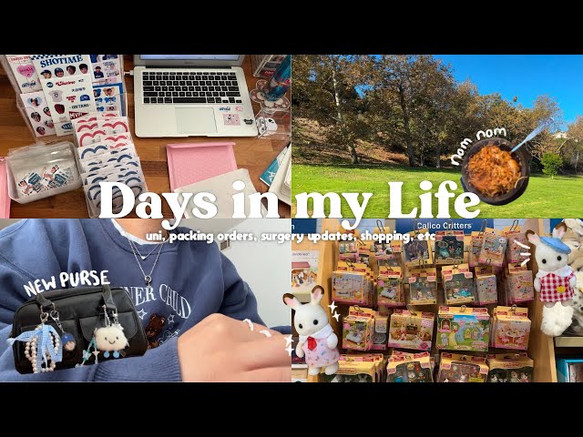 [ archive ] nov. days in my life『uni, packing orders, shopping etc.』