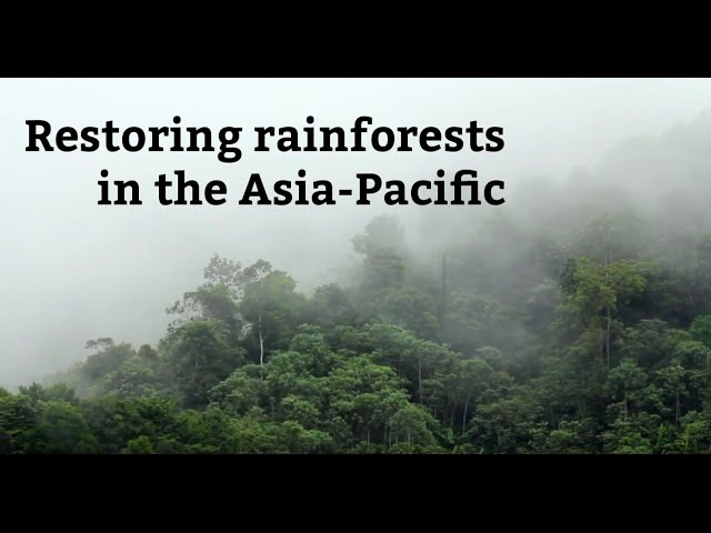 Restoring rainforests in the Asia-Pacific: IUCN