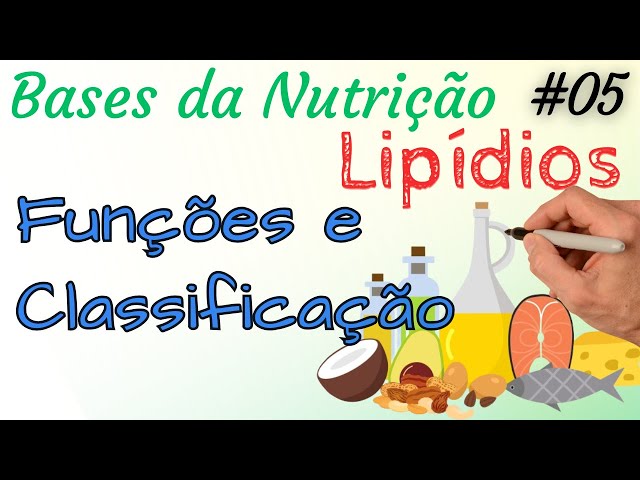 LIPÍDIOS Funções e Classificação - Bases da Nutrição 05