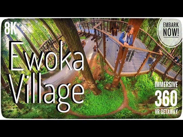 Enchanted Ewoka 🐻🌲🐻: Bright Tree Village 36O VR Find and Seek