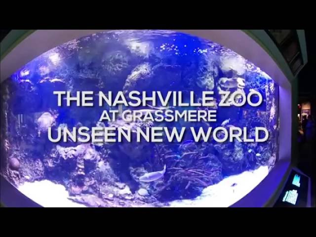 (360° Video) Unseen New World at the Nashville Zoo