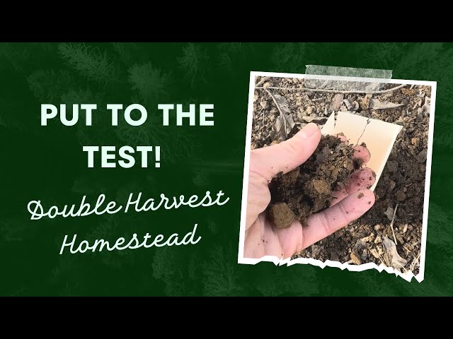 Put To The Test! Couple moves from Memphis to the mountains to live their homesteading dreams. EP1