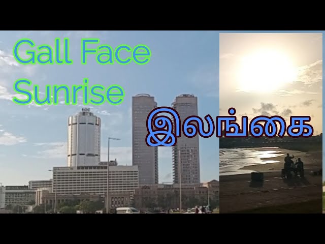 sunrise srilanka #trending #sun  #srilanka #travel #trending #tourism #beach #beautiful #vlog #2024