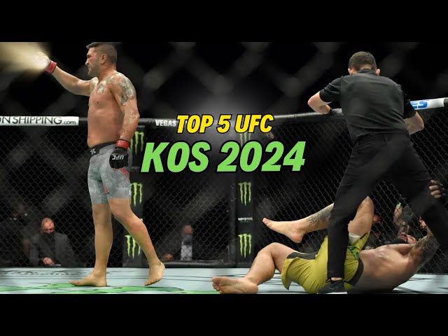 The Most Vicious UFC Knockouts of 2024