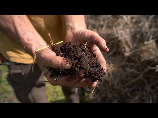 Permanent bed systems, composting and bed preparation in regenerative organic farming in Hungary