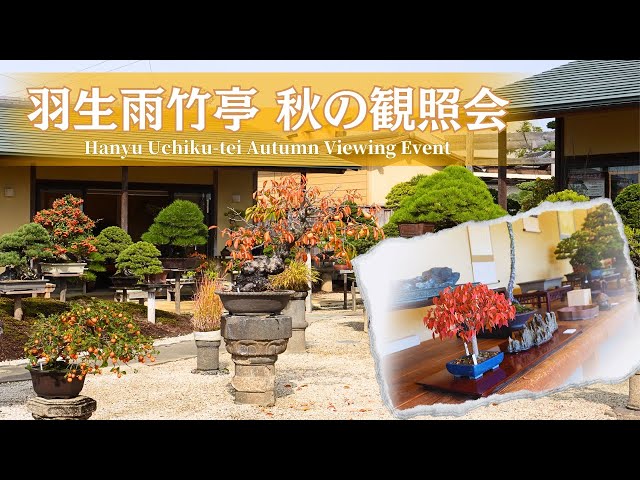 Hanyu Uchiku-tei Autumn Viewing Event - Autumn Bonsai in Color and Various Tools -