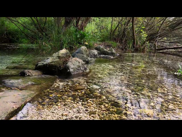 Water Flowing Over Rocks Near Lush Bushes - 4K Nature Scenery Relaxation Video