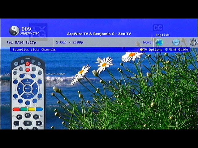 Zen TV 🌦️ (Frutiger Aero / Vaporwave Mix)