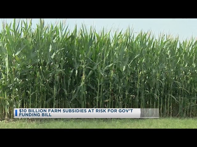 $10 Billion Farm Subsidies At Risk For Government Funding Bill