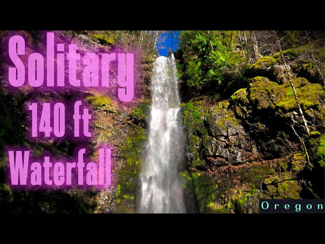 Solo hiking in the Tillamook Forest pt 2 | University falls | Idiot creek Falls