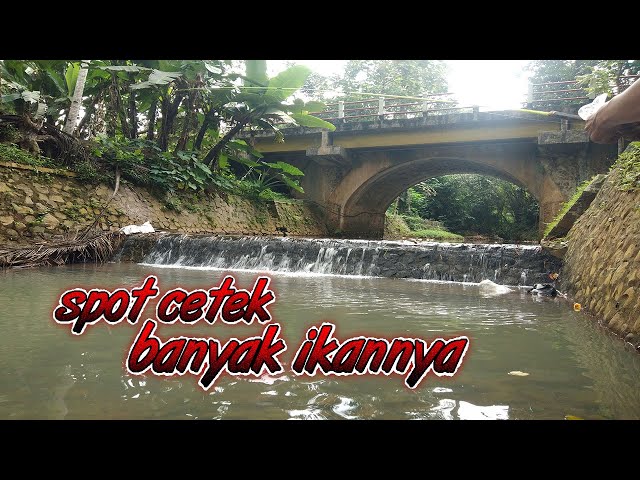 Beunteur Mania, Mancing Wader Di Spot Cetek Al hasil Plung Nyut