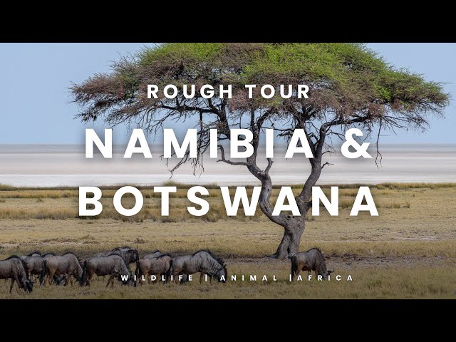 NAMIBIA 🇳🇦 & BOTSWANA 🇧🇼 2015: Safari road trip of a lifetime