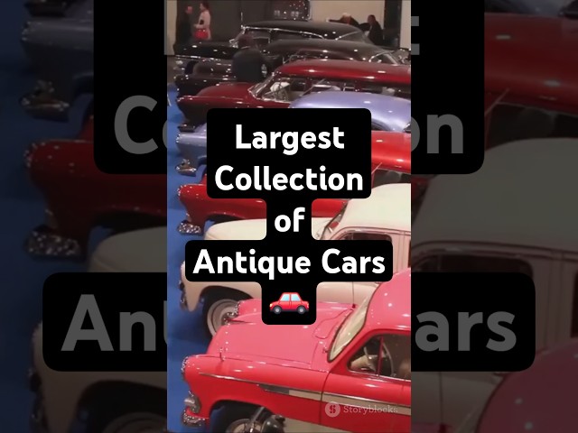 Fact Of Largest Collection of Antique Cars 🚗  #explore  #facts #trivia