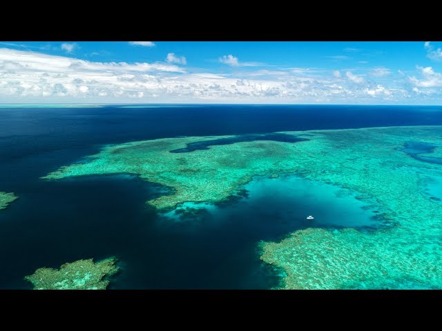 Australia - Coast to Coast by Todd Moen *Trailer Preview*