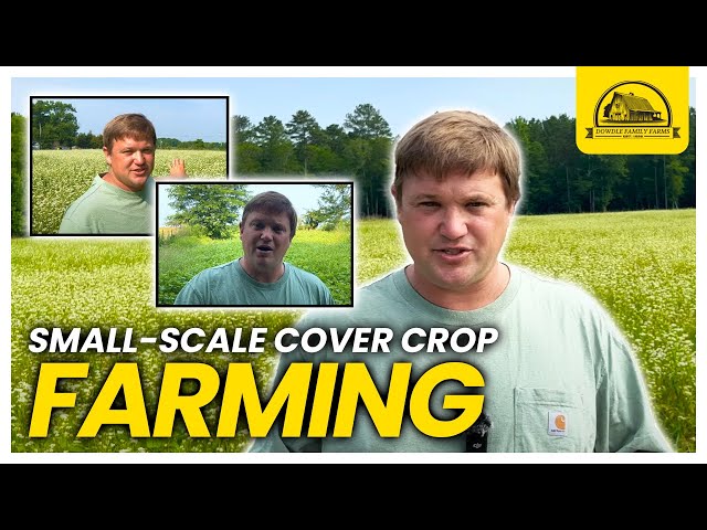 Planting Cover Crops with a Disc: Regenerative Agriculture on a Small Scale