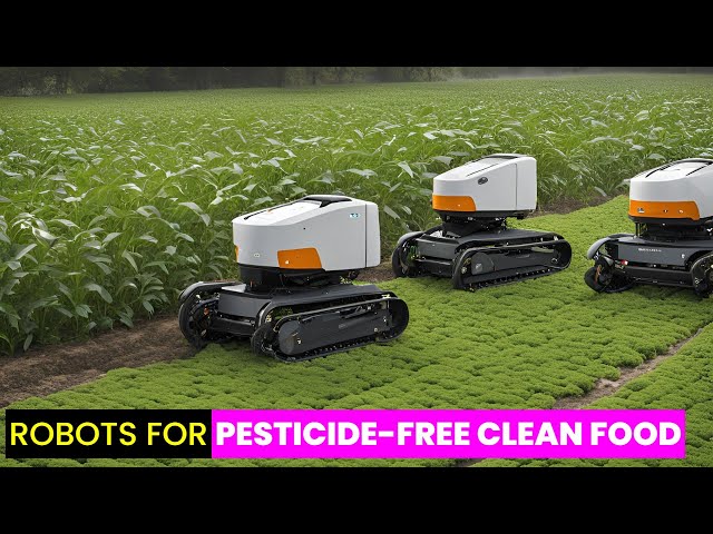 Chemical Free Weed Control | Future Technology & Science News 481