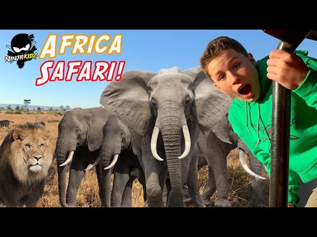 Ninja Kidz on Safari in Africa! We found BABY LIONS!