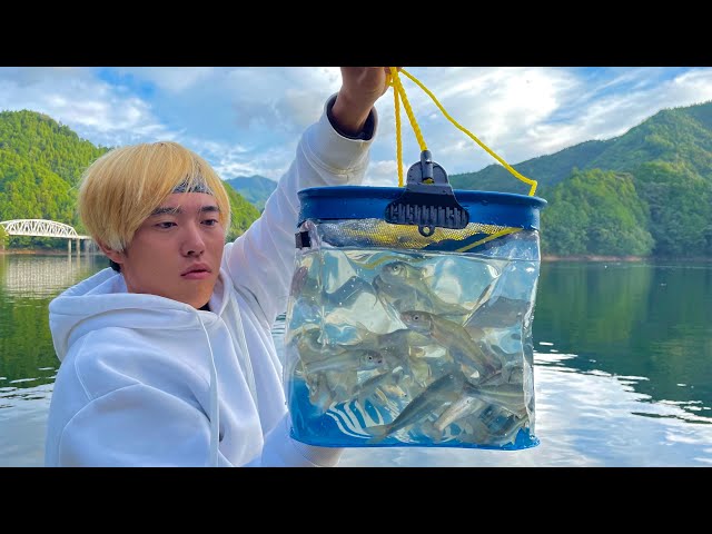 Bringing 30 bait To Sacred Place Where For Japan Bass Fishing【Ikehara Dam】 | Fishing BINGO #8