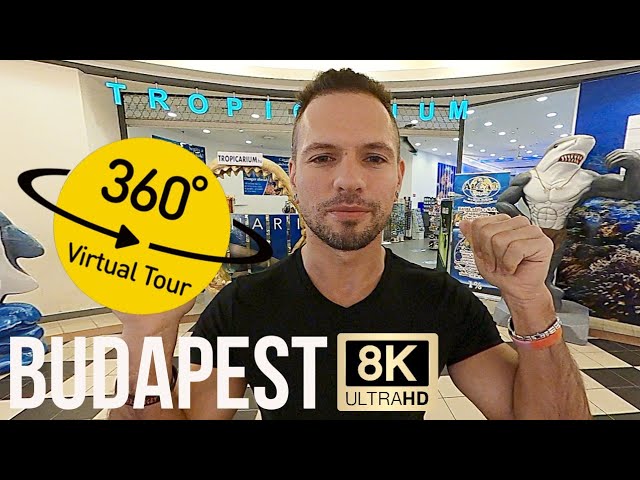 Visit Tropicarium Budapest, Hungary - VR 360° Vlog and Virtual Tour of the Oceanarium 8K