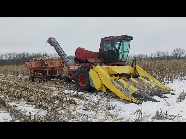 UniSystem Picking Corn in the Snow