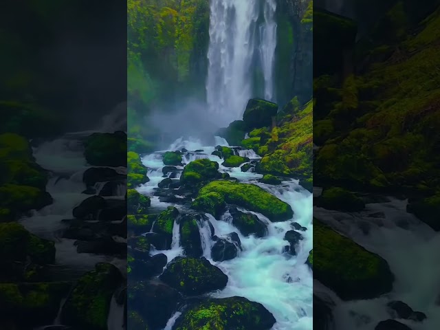 #satisying #water #waterfall #river#nature#naturelovers #calming#tree#forest #stream #rocks #shorts