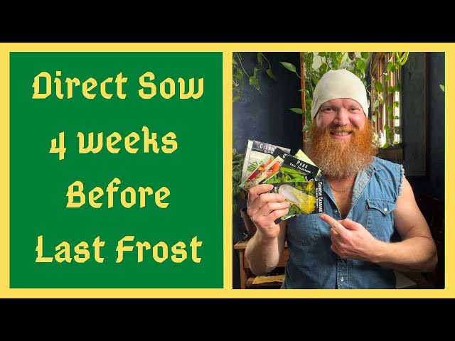 Sow These BEFORE Last Frost - 20 Crops To Direct Sow A Month Before Last Frost