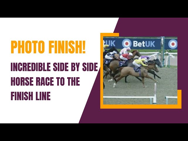 Photo Finish! Incredible Side by Side Horse Race to the Finish Line