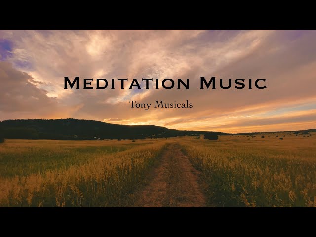 Meditation music 11 | sleep music | Yoga music | stress relief music | Calm music