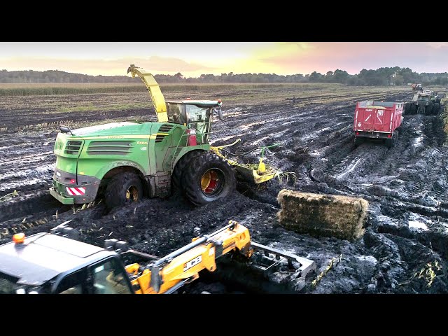 A sad year...FORAGE HARVESTER in the MUD | 2020 Corn Silage in France | Short History