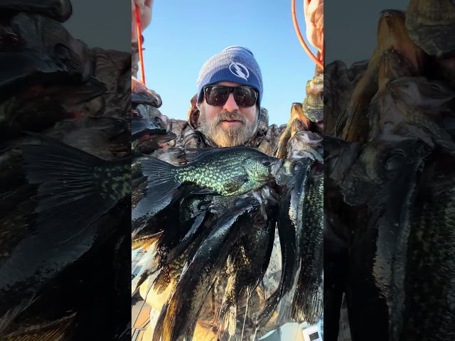 Smoked Em! 🎣 #fishing #crappie #florida