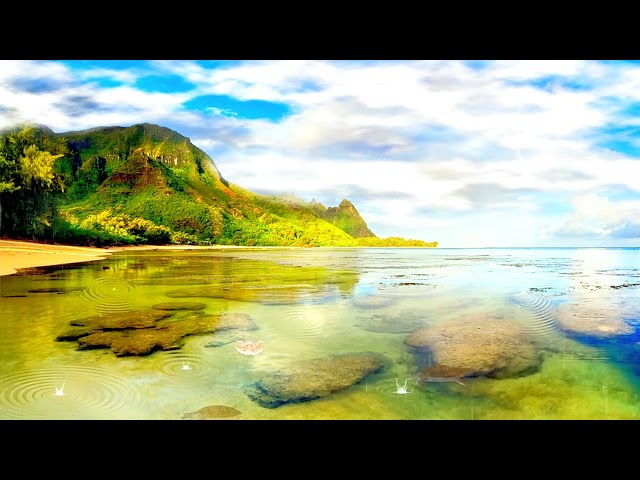 ⭕ Relaxing Music, Stress Relief Music, Calm Music, Meditation Music, Relax Music, Ambient