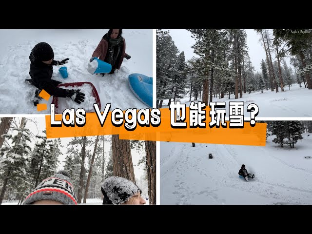 Play Snow in Mount Charleston! Building Snow Fort | Snow Fight | Sledding. 拉斯维加斯｜周边玩雪去！自带个雪橇就行了