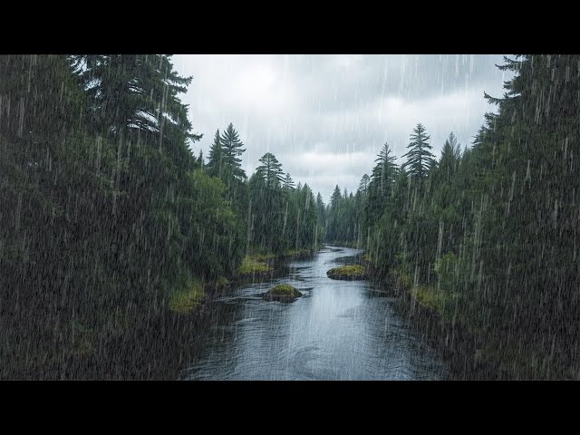 Heavy Rain Nature Sound at Green Forest for Sleeping, Insomnia, Relaxation, Meditation, Study