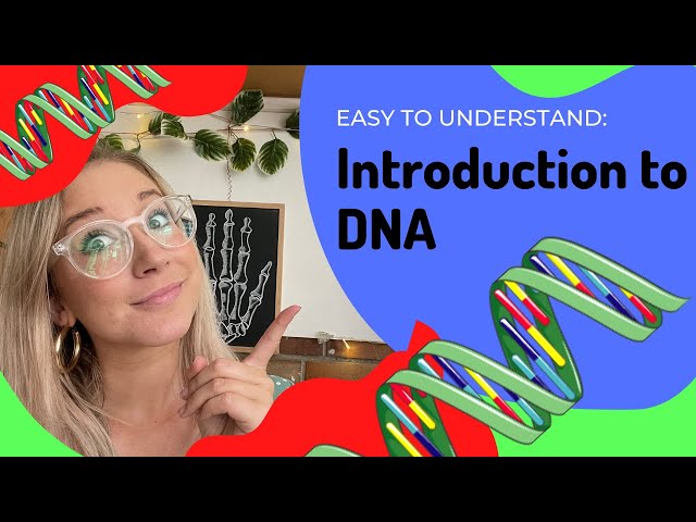 Introduction to DNA structure